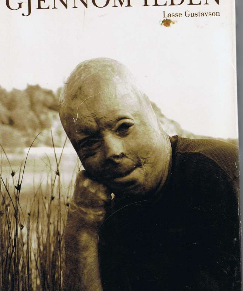 Gjennom ilden 