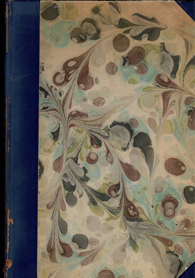 Norwegian Stave Churches