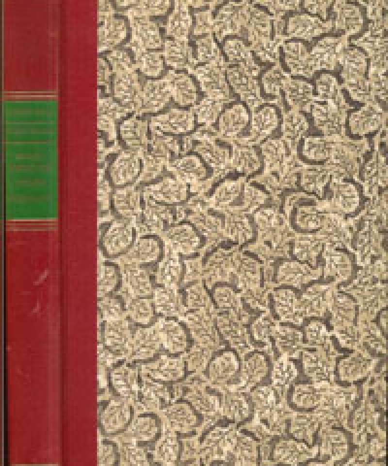 Kvinneportretter i norsk malerkunst