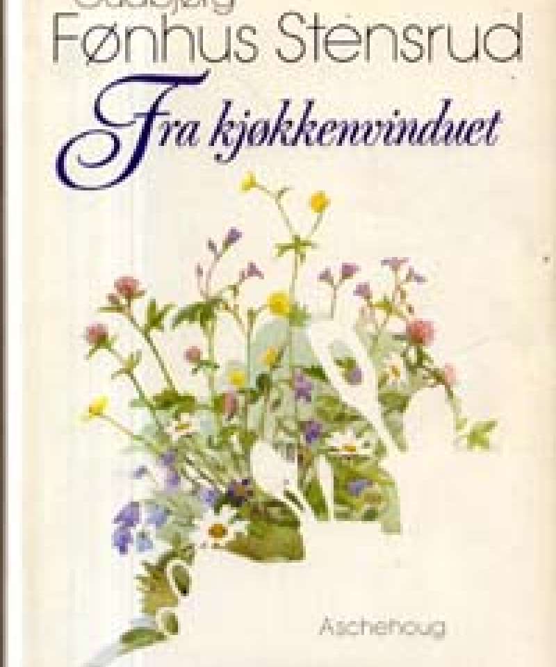 Fra kjøkkenvinduet