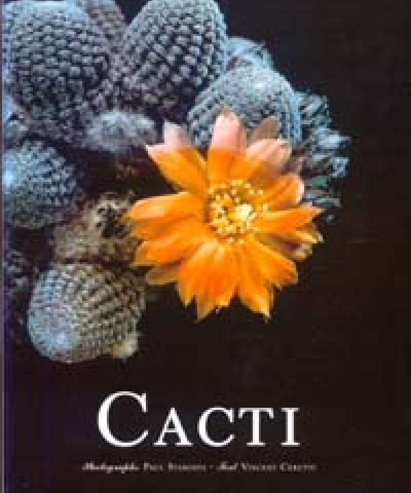 Cacti