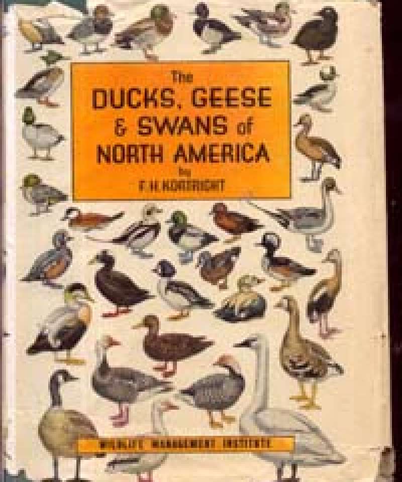 The Ducks, Geese & Swans of North America