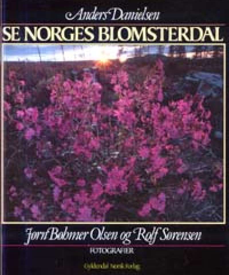 Se Norges blomsterdal