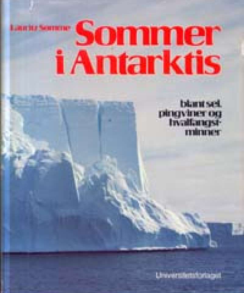 Sommer i Antarktis