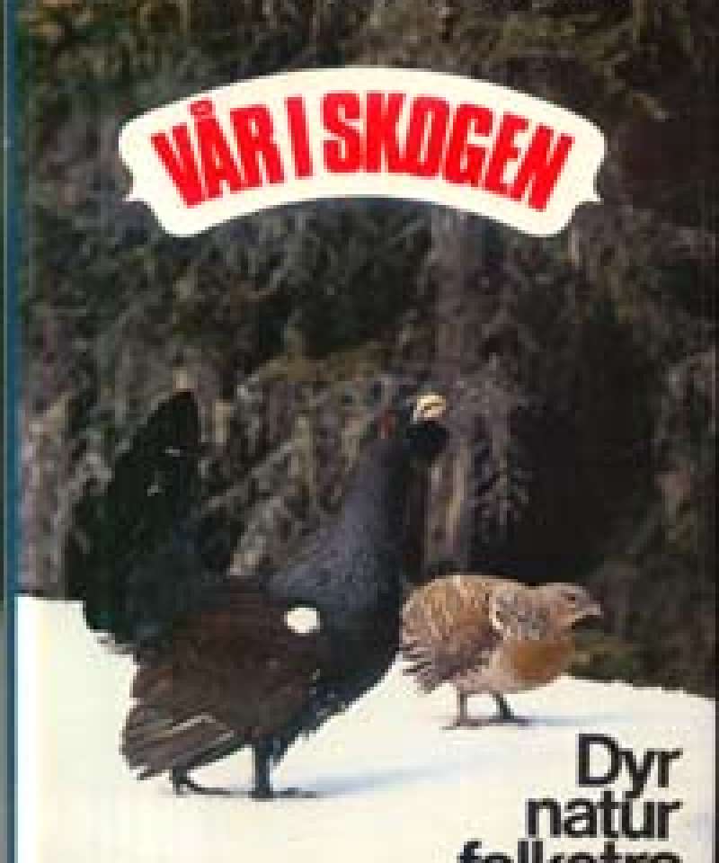 Vår i skogen