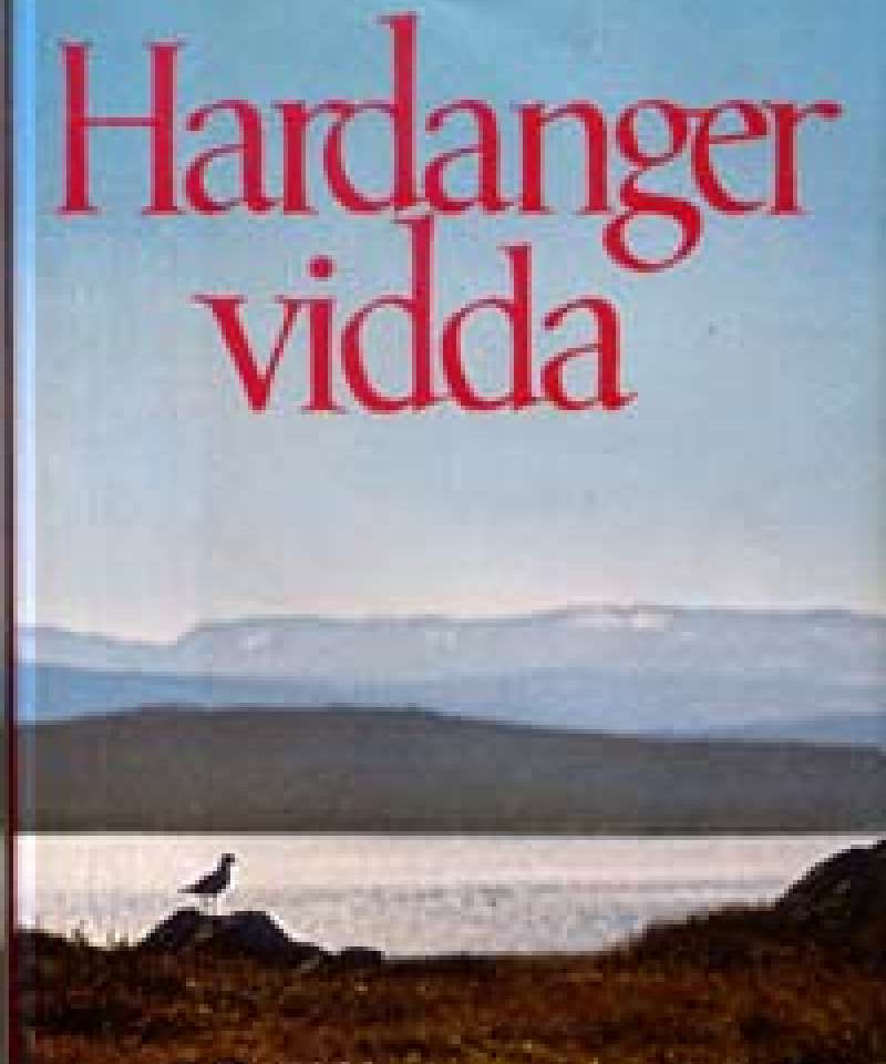 Hardangervidda