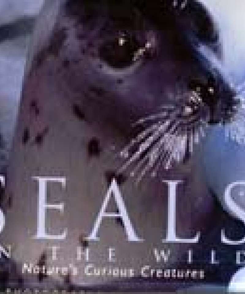 Seals in the Wild