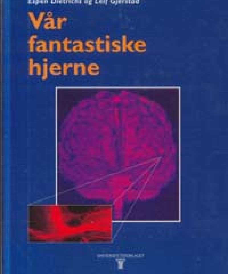 Vår fantastiske hjerne