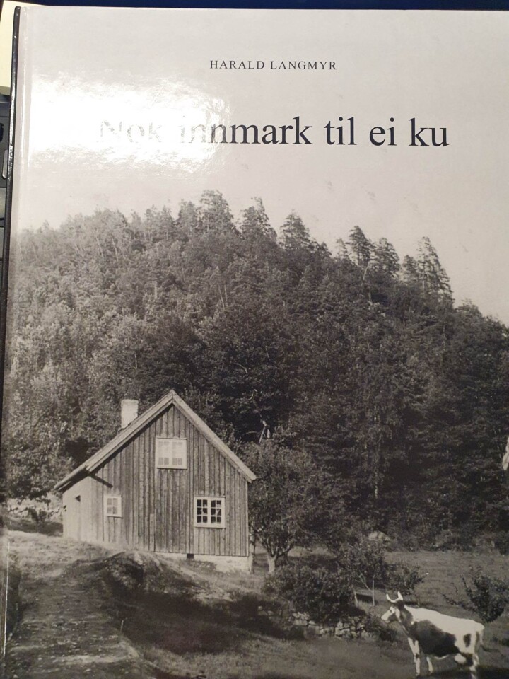 Nok innmark til ei ku