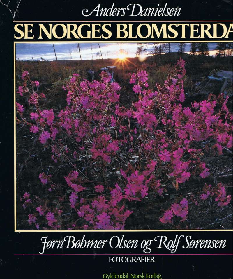 Se Norges blomsterdal
