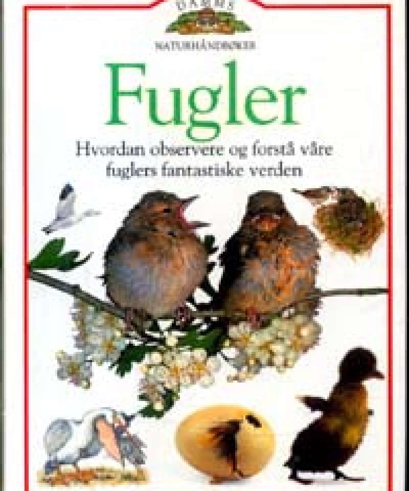 Fugler