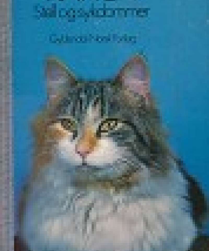Katten - stell og sykdommer