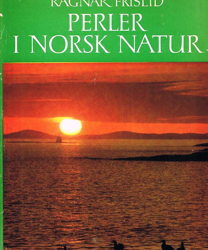 Perler i Norsk natur