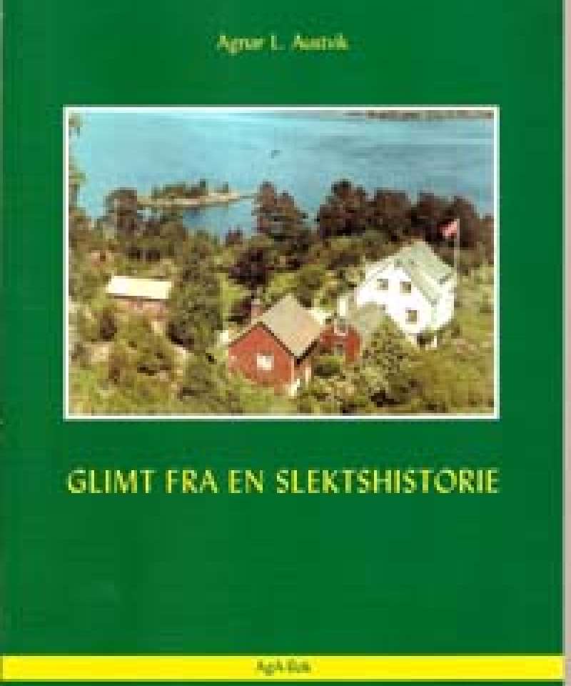 Glimt av en slektshistorie