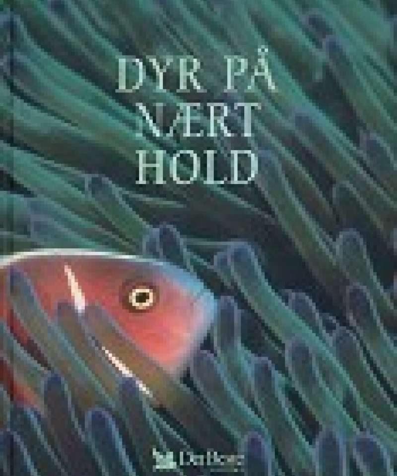 Dyr på nært hold