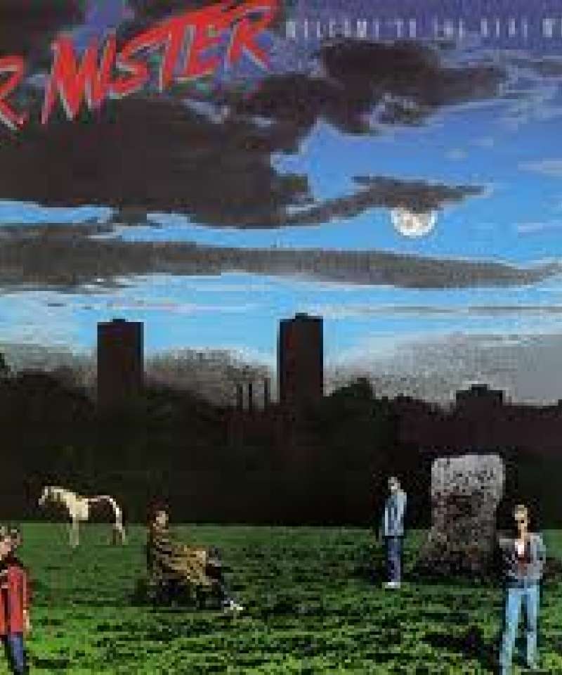 Mr. Mister. Welcome to the real World