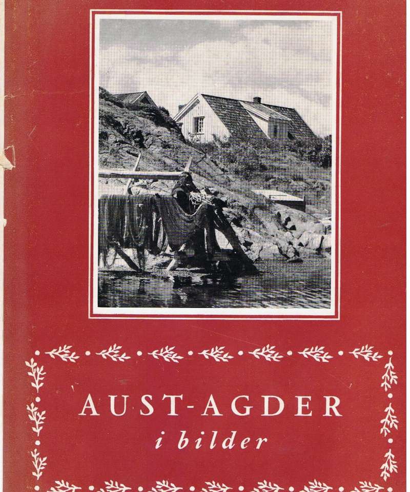 Aust-Agder i bilder