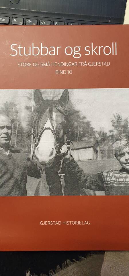 Stubbar og skroll - store og små hendingar frå Gjerstad bd 10