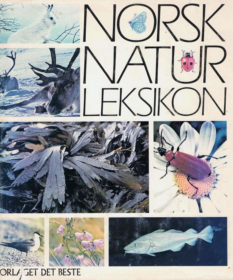 Norsk Naturleksikon