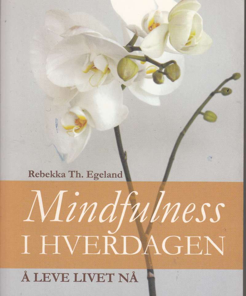 Mindfulness i hverdagen