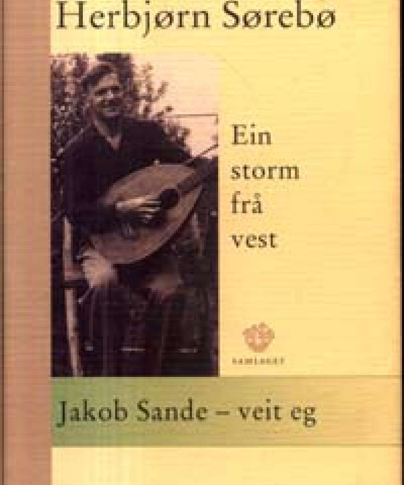 Ein storm frå vest