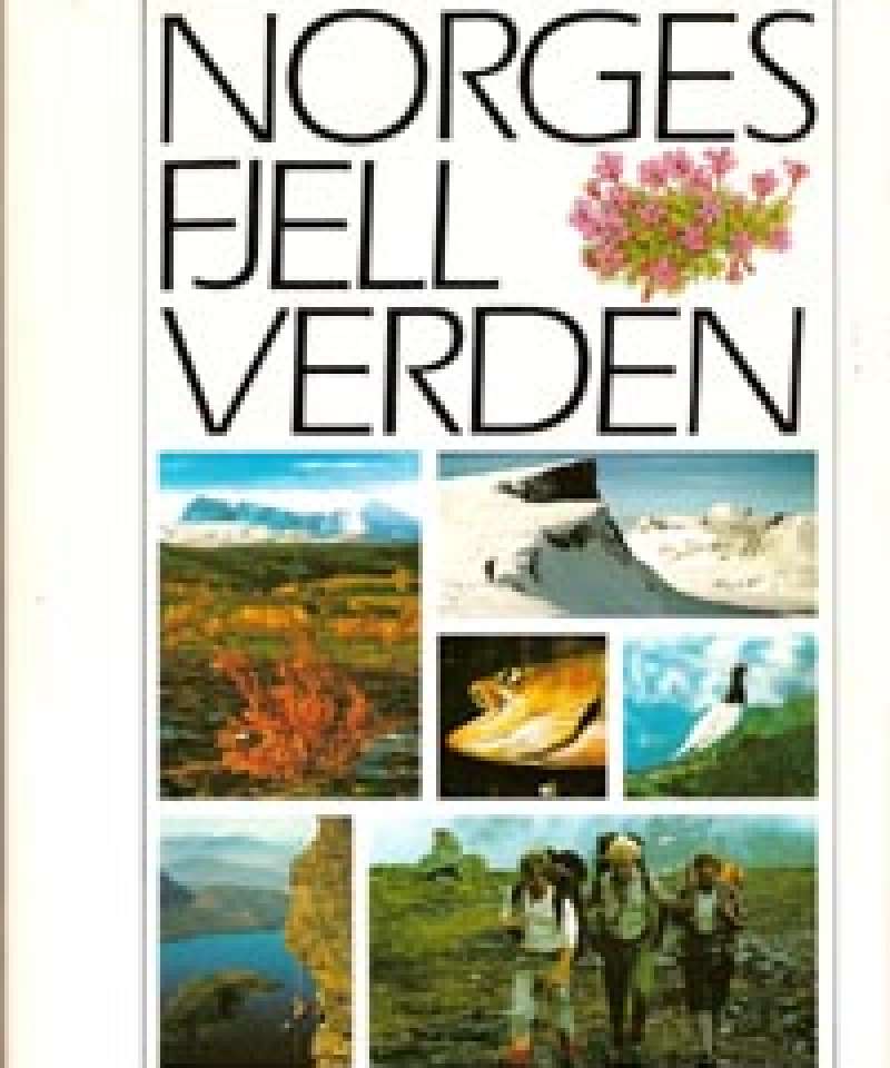 Norges fjellverden