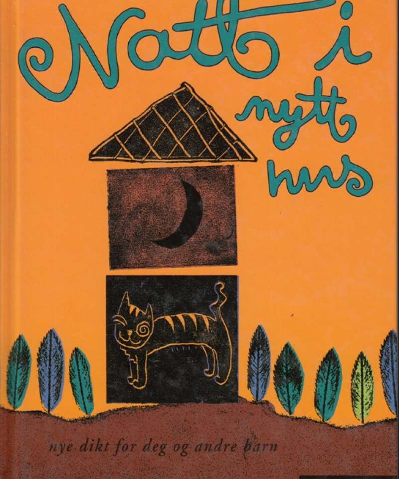 Natt i nytt hus