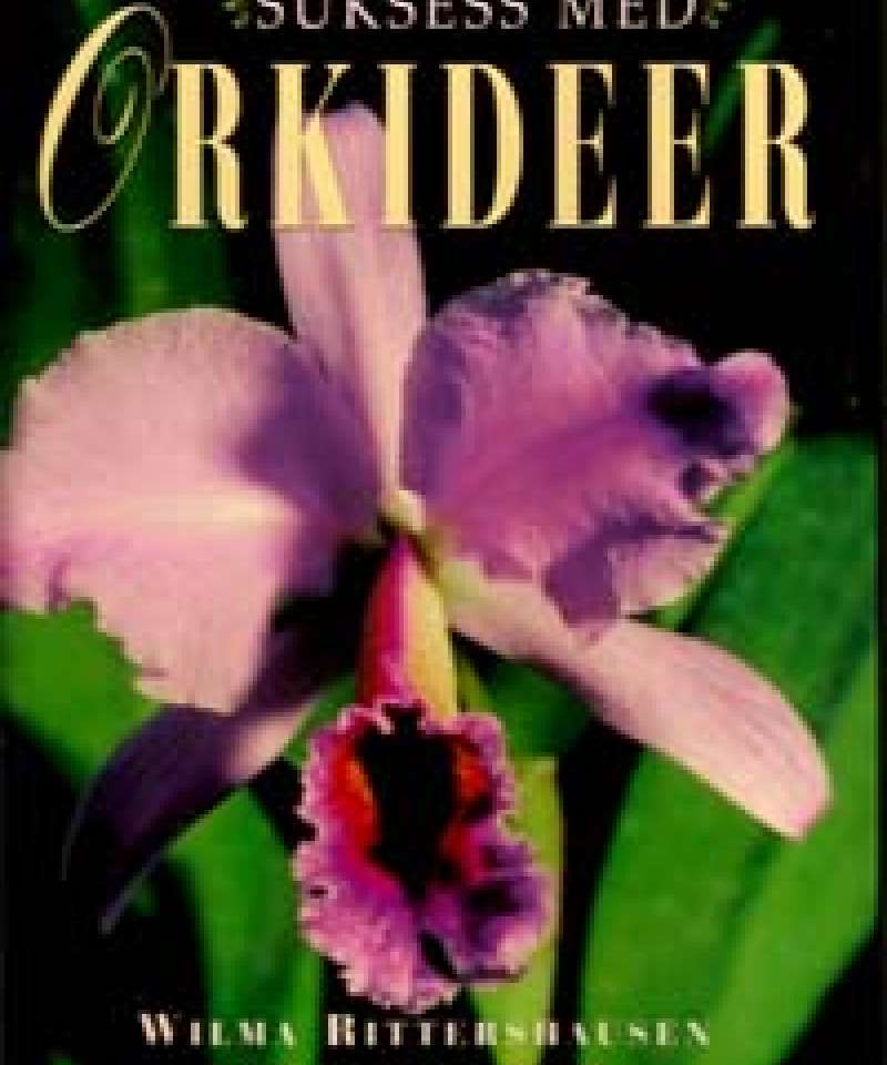 Suksess med Orkideer
