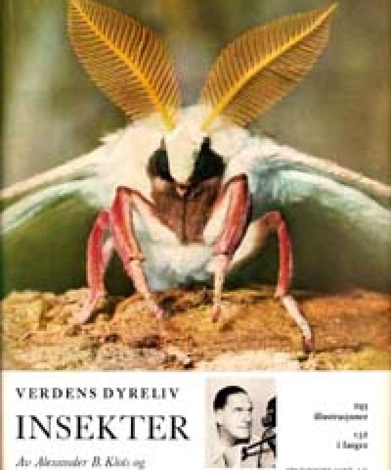 Insekter