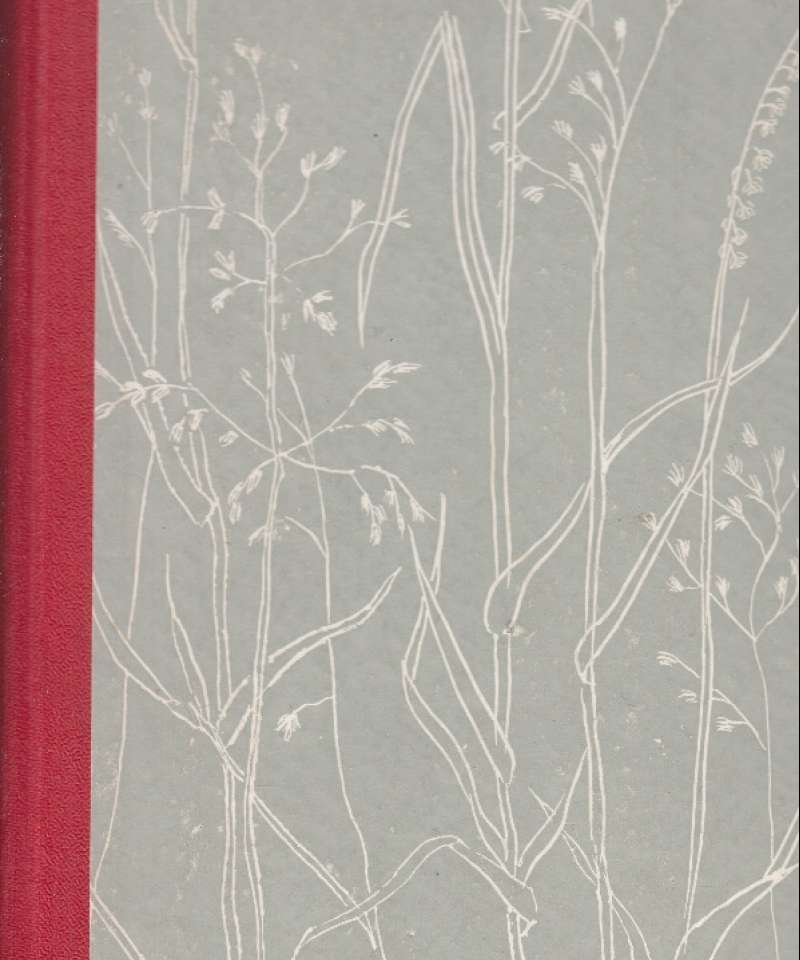 Tina i det røde hus