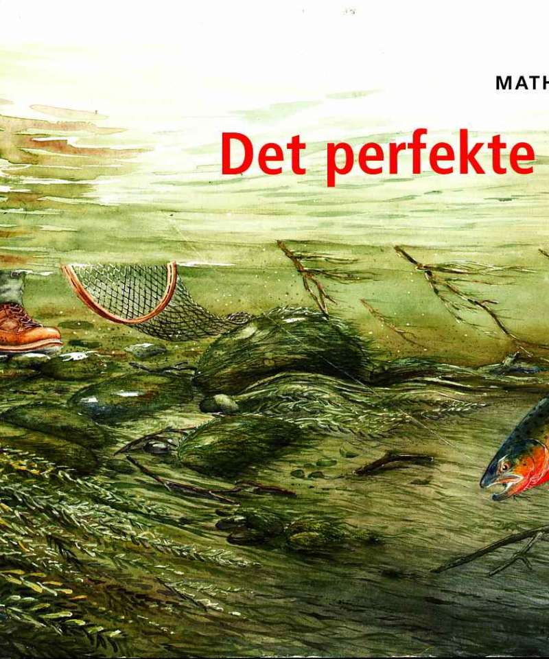 Det perfekte kastet