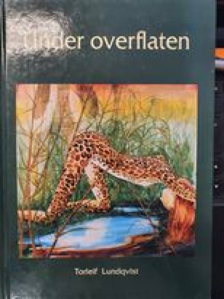 Under overflaten