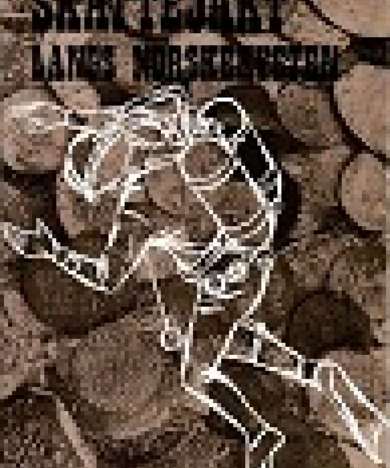 Skattejakt langs norskekysten