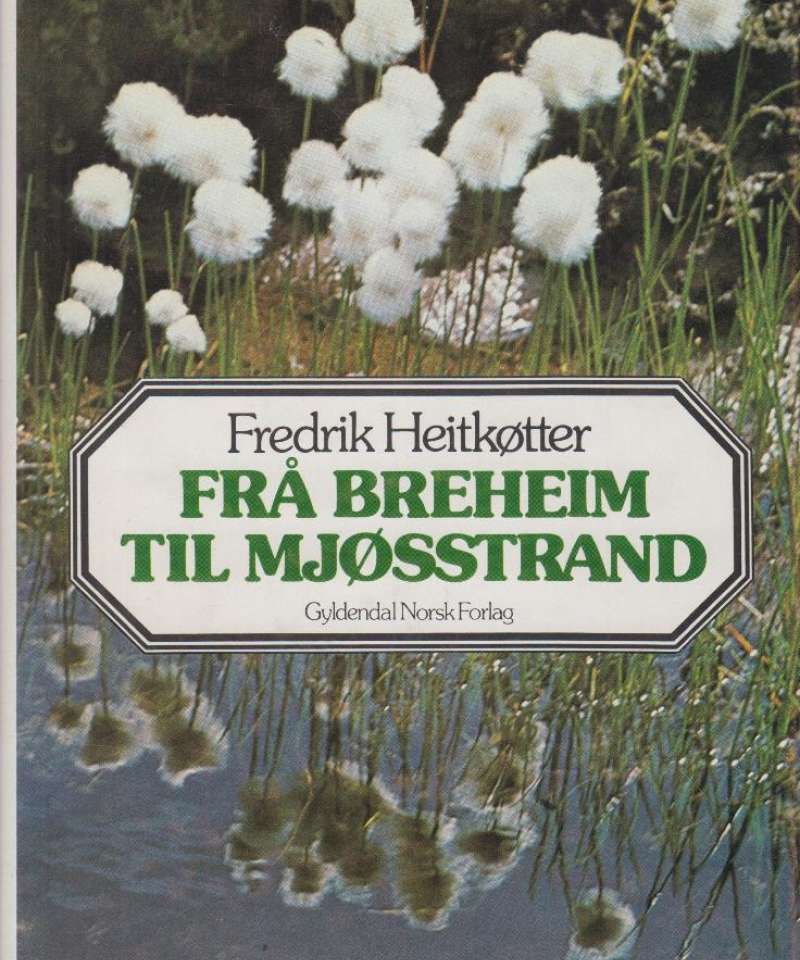 Frå Breheim til Mjøsstrand (med dedikasjon)