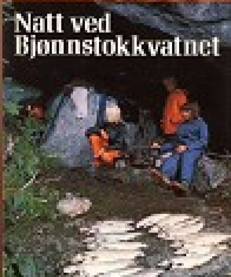 Natt ved Bjønnstokkvatnet