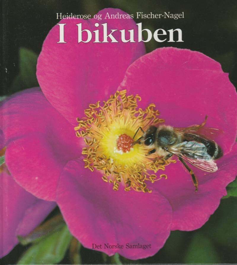 I bikuben