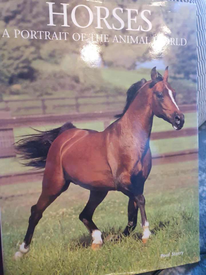 Horses. A portrait of the animal world