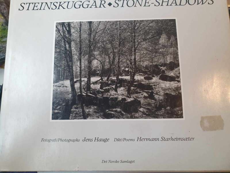 Steinskuggar - Stone-Shardows