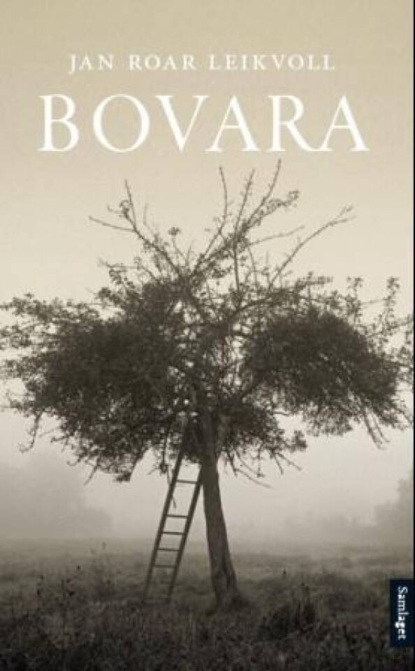 Bovara