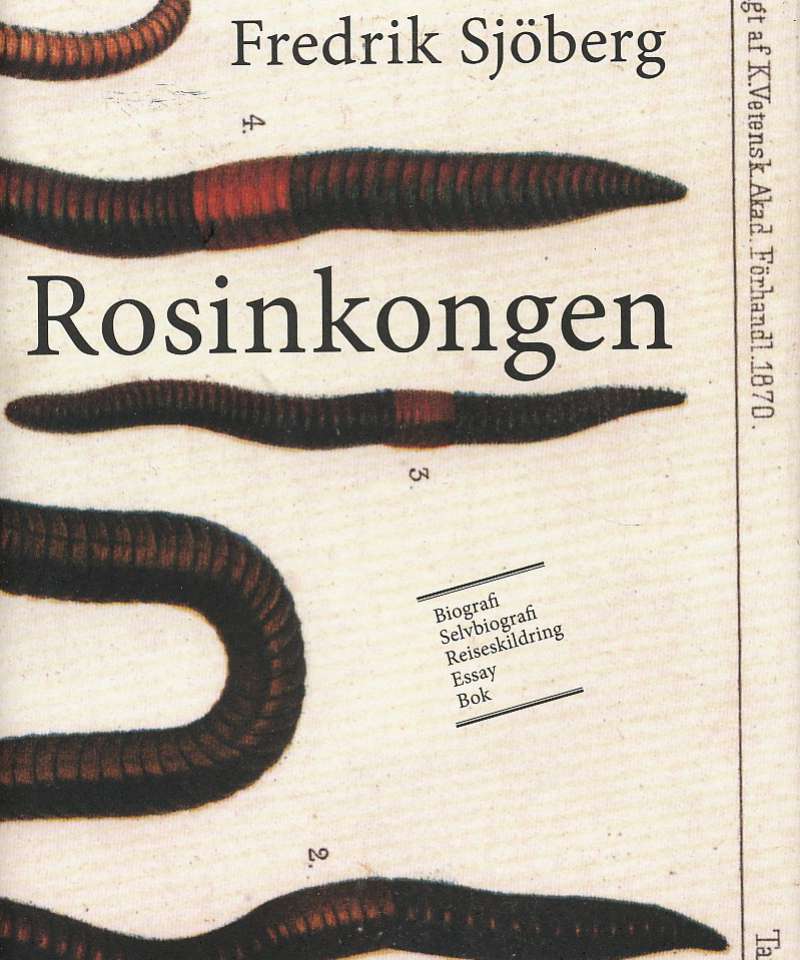 Rosinkongen