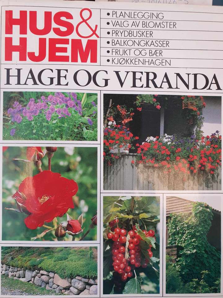 Hage og veranda
