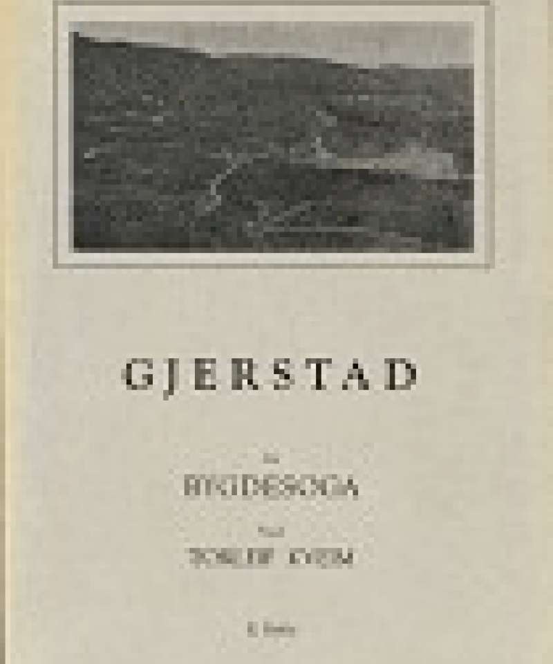 Gjerstad Bygdesoga II