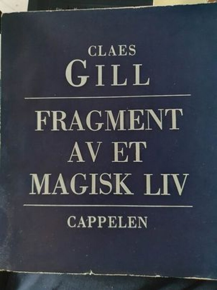 Fragment av et magisk liv