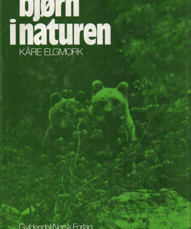 Bjørn i naturen