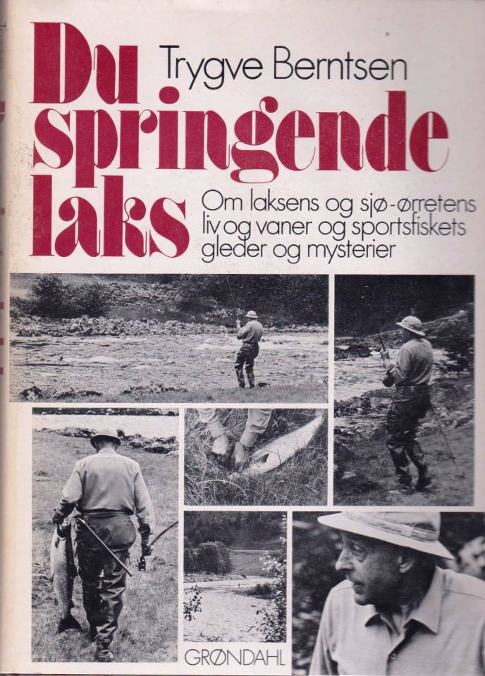 Du springende laks