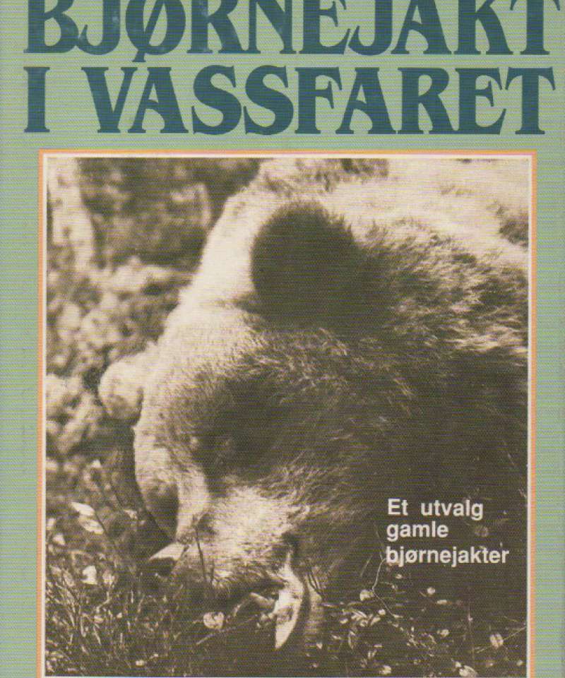 Bjørnejakt i vassfaret