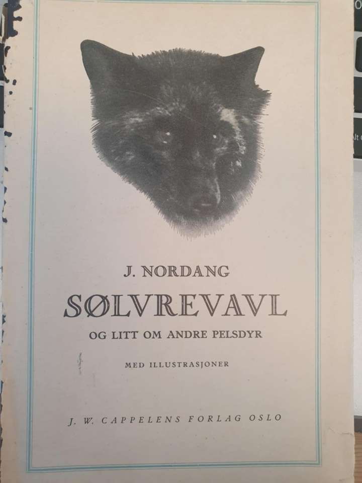 Sølvrevavl
