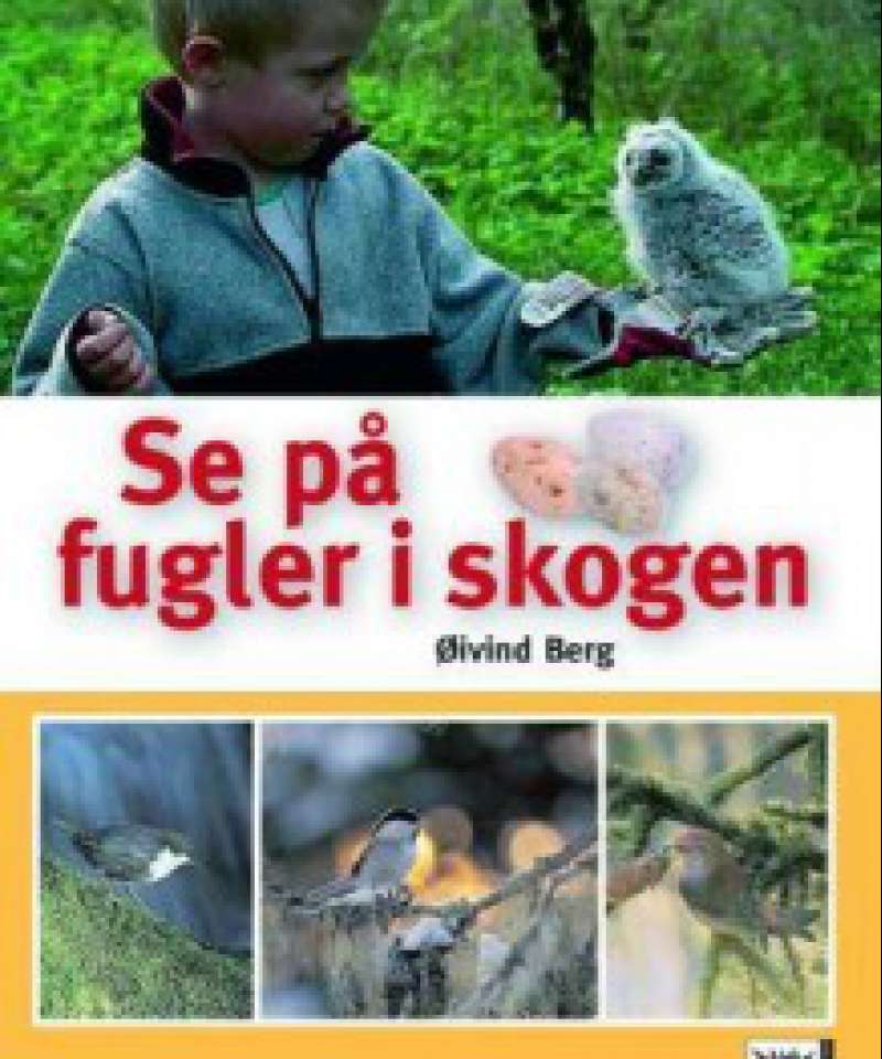 Se på fugler i skogen