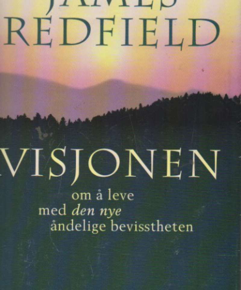 Visjonen
