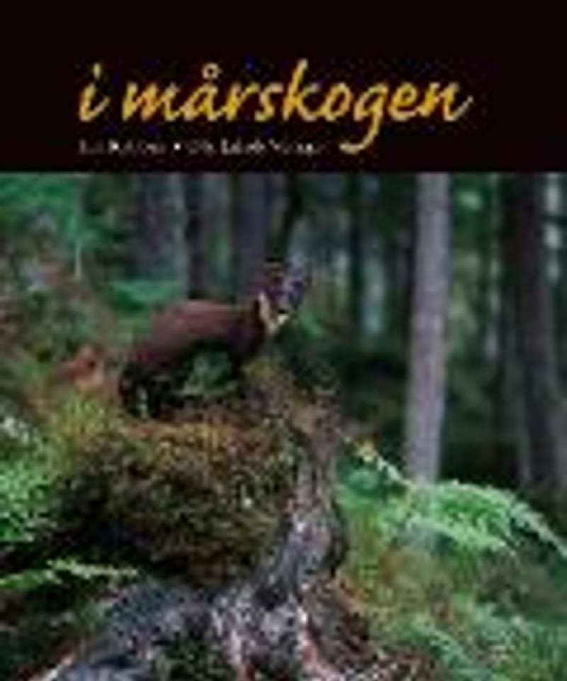 I mårskogen